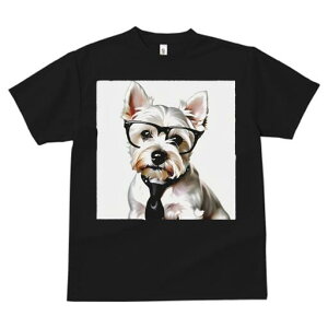 EGXgnChzCgeA TVc  j[NfUCY LbY t@  t vg lJWA 킢 lԗp Mtg I ҏ΍ Kl EGXgn