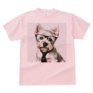 EGXgnChzCgeA TVc  j[NfUCfB[X t@  t vg lJWA 킢 lԗp Mtg I ҏ΍ Kl EGXgnC