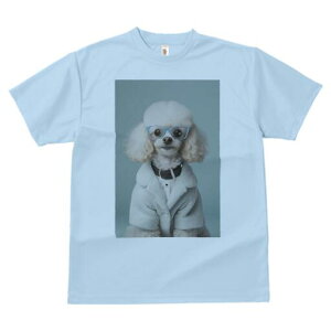 gCv[h TVc  j[NfUCfB[X t@  t vg lJWA 킢 lԗp Mtg I ҏ΍ Kl gCv[h R[g  