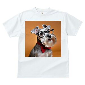 ~j`AViEU[ TVc  j[NfUCY LbY t@  t vg lJWA 킢 lԗp Mtg I ҏ΍ Kl ~j`AViEU