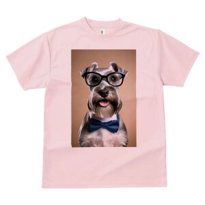 ~j`AViEU[ TVc  j[NfUCfB[X t@  t vg lJWA 킢 lԗp Mtg I ҏ΍ Kl ~j`AViEU[ 