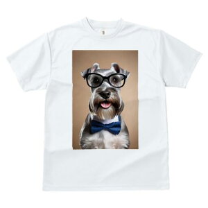 ~j`AViEU[ TVc  j[NfUCfB[X t@  t vg lJWA 킢 lԗp Mtg I ҏ΍ Kl ~j`AViEU[ 