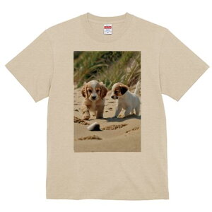 RbJ[XpjG,WbNbZeA TVc  j[NfUCfB[X t@  t vg lJWA 킢 lԗp Mtg I ҏ΍ l RbJ