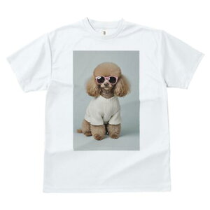 gCv[h TVc  j[NfUCfB[X t@  t vg lJWA 킢 lԗp Mtg I ҏ΍ Z[^[ gCv[h TOX