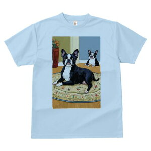 {XgeA TVc  j[NfUCfB[X t@  t vg lJWA 킢 lԗp Mtg I ҏ΍ ԕr {XgeA O~ 