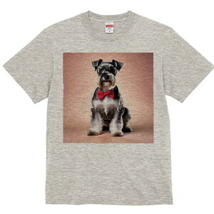 ~j`AViEU[ TVc  j[NfUCfB[X t@  t vg lJWA 킢 lԗp Mtg I ҏ΍ Kl ~j`AViEU[ 