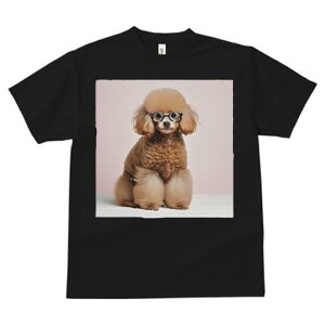 gCv[h TVc  j[NfUCfB[X t@  t vg lJWA 킢 lԗp Mtg I ҏ΍ Kl gCv[h