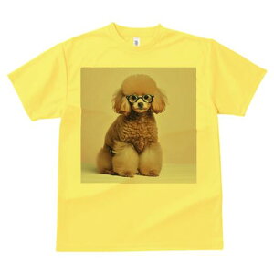 gCv[h TVc  j[NfUCfB[X t@  t vg lJWA 킢 lԗp Mtg I ҏ΍ Kl gCv[h