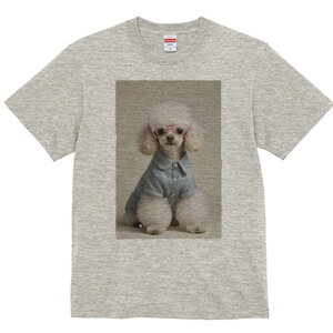 gCv[h TVc  j[NfUCfB[X t@  t vg lJWA 킢 lԗp Mtg I ҏ΍ Kl gCv[h Vc