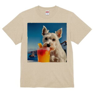 EGXgnChzCgeA TVc  j[NfUCfB[X t@  t vg lJWA 킢 lԗp Mtg I ҏ΍ JNe EGXgnC