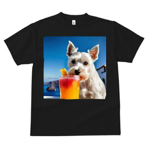 EGXgnChzCgeA TVc  j[NfUCfB[X t@  t vg lJWA 킢 lԗp Mtg I ҏ΍ JNe EGXgnC