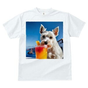 �E�G�X�g�n�C�����h�z���C�g�e���A T�V���c ���� ���j�[�N�f�U�C�����f�B�[�X ���t�@�� ���� �t�� �v�����g ��l�J�W���A�� ���킢�� �l�ԗp �M�t�g ���I �ҏ��΍� �J�N�e�� �E�G�X�g�n�C