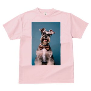 ~j`AViEU[ TVc  j[NfUCfB[X t@  t vg lJWA 킢 lԗp Mtg I ҏ΍ Kl ~j`AViEU[ 