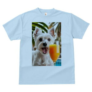 �E�G�X�g�n�C�����h�z���C�g�e���A T�V���c ���� ���j�[�N�f�U�C�����f�B�[�X ���t�@�� ���� �t�� �v�����g ��l�J�W���A�� ���킢�� �l�ԗp �M�t�g ���I �ҏ��΍� �W���[�X �E�G�X�g�n�C