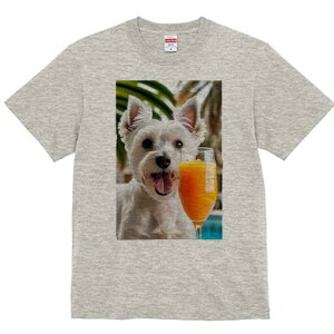 EGXgnChzCgeA TVc  j[NfUCfB[X t@  t vg lJWA 킢 lԗp Mtg I ҏ΍ W[X EGXgnC