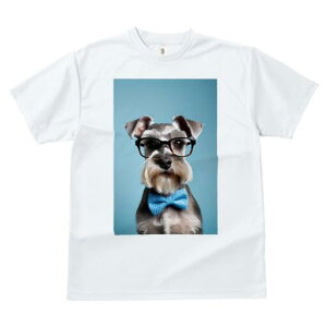 ~j`AViEU[ TVc  j[NfUCfB[X t@  t vg lJWA 킢 lԗp Mtg I ҏ΍ Kl ~j`AViEU[ 