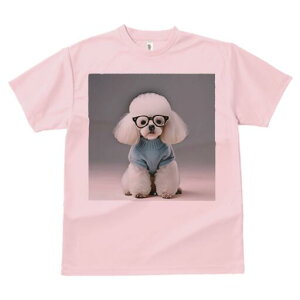 gCv[h TVc  j[NfUCfB[X t@  t vg lJWA 킢 lԗp Mtg I ҏ΍ Kl gCv[h Z[^[