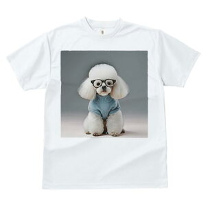 gCv[h TVc  j[NfUCfB[X t@  t vg lJWA 킢 lԗp Mtg I ҏ΍ Kl gCv[h Z[^[