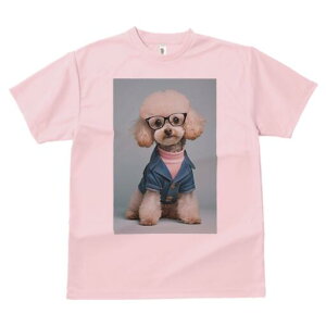 gCv[h TVc  j[NfUCY LbY t@  t vg lJWA 킢 lԗp Mtg I ҏ΍ Kl gCv[h fjWPbg ^