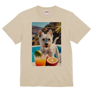 EGXgnChzCgeA TVc  j[NfUCfB[X t@  t vg lJWA 킢 lԗp Mtg I ҏ΍ JNe EGXgnC