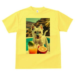 �E�G�X�g�n�C�����h�z���C�g�e���A T�V���c ���� ���j�[�N�f�U�C�����f�B�[�X ���t�@�� ���� �t�� �v�����g ��l�J�W���A�� ���킢�� �l�ԗp �M�t�g ���I �ҏ��΍� �J�N�e�� �E�G�X�g�n�C