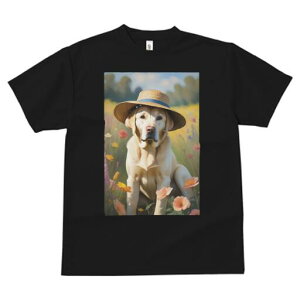 uh[go[ TVc  j[NfUCfB[X t@  t vg lJWA 킢 lԗp Mtg I ҏ΍ Xq uh[go[  