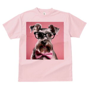 ~j`AViEU[ TVc  j[NfUCfB[X t@  t vg lJWA 킢 lԗp Mtg I ҏ΍ Kl ~j`AViEU[ 