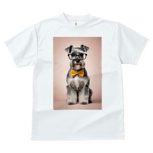 ~j`AViEU[ TVc  j[NfUCY LbY t@  t vg lJWA 킢 lԗp Mtg I ҏ΍ Kl ~j`AViEU