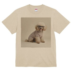 v[h TVc  j[NfUCfB[X t@  t vg lJWA 킢 lԗp Mtg I ҏ΍ Kl v[h 