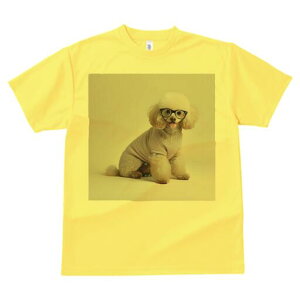 v[h TVc  j[NfUCfB[X t@  t vg lJWA 킢 lԗp Mtg I ҏ΍ Kl v[h 