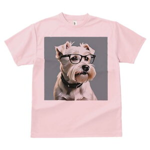 ~j`AViEU[ TVc  j[NfUCfB[X t@  t vg lJWA 킢 lԗp Mtg I ҏ΍ Kl ~j`AViEU[ 