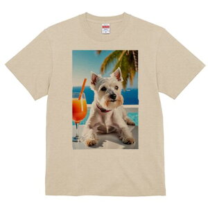 EGXgnChzCgeA TVc  j[NfUCfB[X t@  t vg lJWA 킢 lԗp Mtg I ҏ΍ JNe EGXgnC