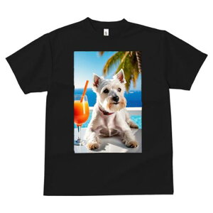 EGXgnChzCgeA TVc  j[NfUCfB[X t@  t vg lJWA 킢 lԗp Mtg I ҏ΍ JNe EGXgnC