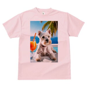 EGXgnChzCgeA TVc  j[NfUCY LbY t@  t vg lJWA 킢 lԗp Mtg I ҏ΍ JNe EGXg