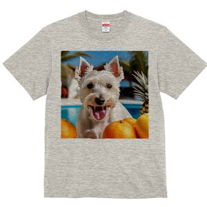 EGXgnChzCgeA TVc  j[NfUCfB[X t@  t vg lJWA 킢 lԗp Mtg I ҏ΍ IW EGXgnC