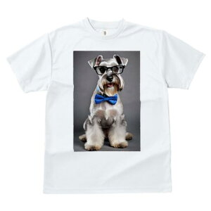 ~j`AViEU[ TVc  j[NfUCfB[X t@  t vg lJWA 킢 lԗp Mtg I ҏ΍ lN^C ~j`AViEU