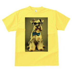 ~j`AViEU[ TVc  j[NfUCfB[X t@  t vg lJWA 킢 lԗp Mtg I ҏ΍ lN^C ~j`AViEU