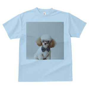 gCv[h TVc  j[NfUCfB[X t@  t vg lJWA 킢 lԗp Mtg I ҏ΍ Kl gCv[h lN^C Z[^[