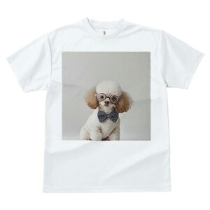 gCv[h TVc  j[NfUCfB[X t@  t vg lJWA 킢 lԗp Mtg I ҏ΍ Kl gCv[h lN^C Z[^[