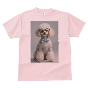 v[h TVc  j[NfUCY LbY t@  t vg lJWA 킢 lԗp Mtg I ҏ΍ Kl v[h lN^C 