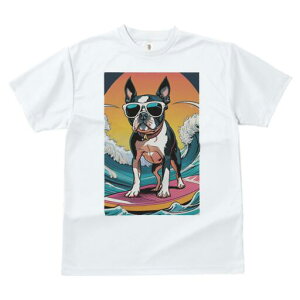 {XgeA TVc  j[NfUCY LbY t@  t vg lJWA 킢 lԗp Mtg I ҏ΍ g {XgeA T[tB TO