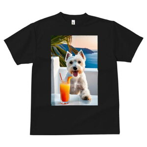 EGXgnChzCgeA TVc  j[NfUCfB[X t@  t vg lJWA 킢 lԗp Mtg I ҏ΍ W[X EGXgnC