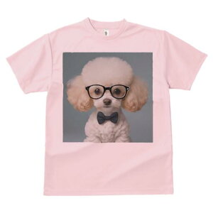 gCv[h TVc  j[NfUCY LbY t@  t vg lJWA 킢 lԗp Mtg I ҏ΍ Kl gCv[h lN^C 