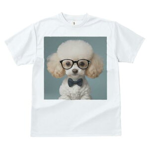 gCv[h TVc  j[NfUCfB[X t@  t vg lJWA 킢 lԗp Mtg I ҏ΍ Kl gCv[h lN^C  