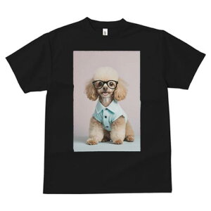 gCv[h TVc  j[NfUCY LbY t@  t vg lJWA 킢 lԗp Mtg I ҏ΍ Kl gCv[h Vc