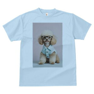 gCv[h TVc  j[NfUCfB[X t@  t vg lJWA 킢 lԗp Mtg I ҏ΍ Kl gCv[h Vc