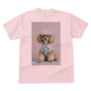 gCv[h TVc  j[NfUCfB[X t@  t vg lJWA 킢 lԗp Mtg I ҏ΍ Kl gCv[h Vc