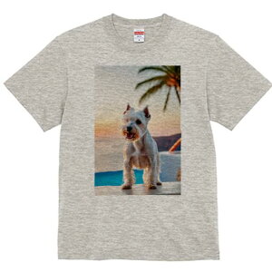 EGXgnChzCgeA TVc  j[NfUCfB[X t@  t vg lJWA 킢 lԗp Mtg I ҏ΍ V̖ EGXgnC