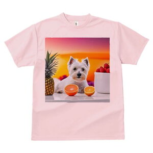 EGXgnChzCgeA TVc  j[NfUCfB[X t@  t vg lJWA 킢 lԗp Mtg I ҏ΍ pCibv EGXg