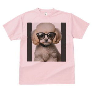 gCv[h TVc  j[NfUCfB[X t@  t vg lJWA 킢 lԗp Mtg I ҏ΍ Kl gCv[h